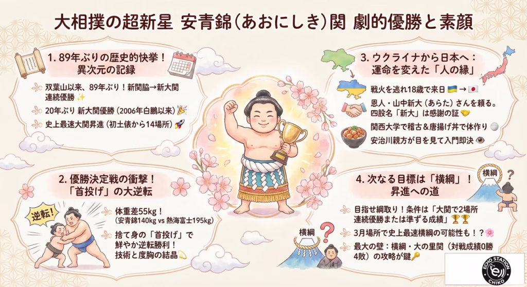 青錦の紹介 インフォグラフ 横綱になれるか