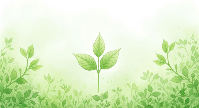 【2026年最新】住民税の壁は“100万円固定”じゃない|93万/103万/110万…地域差と非課税メリット消滅の落とし穴