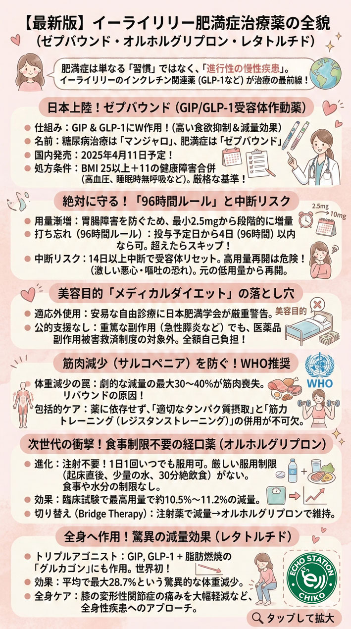 イーライリリー肥満薬の全貌を紹介する 全体イメージブログすべてが分かるインフォグラフィック