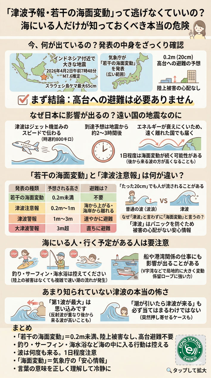 津波予報「若干の海面変動」って逃げなくていい？本当の意味を解説インフォグラフ