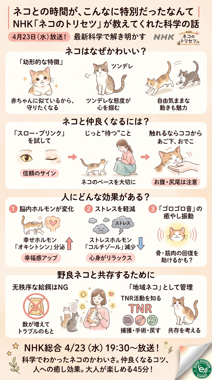 ネコとの時間が、こんなに特別だったなんて｜NHK「ネコのトリセツ」が教えてくれた科学の話インフォグラフ