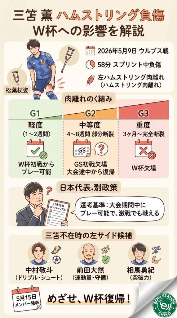 三笘薫の左ハムストリング負傷、W杯は間に合う？グレード別に復帰シナリオを解説 インフォグラフ