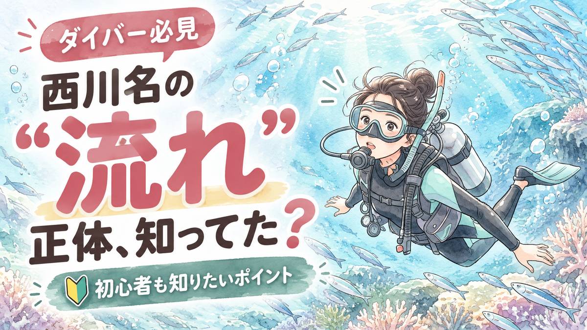 西川名 ダイビングの魅力を象徴するイラスト